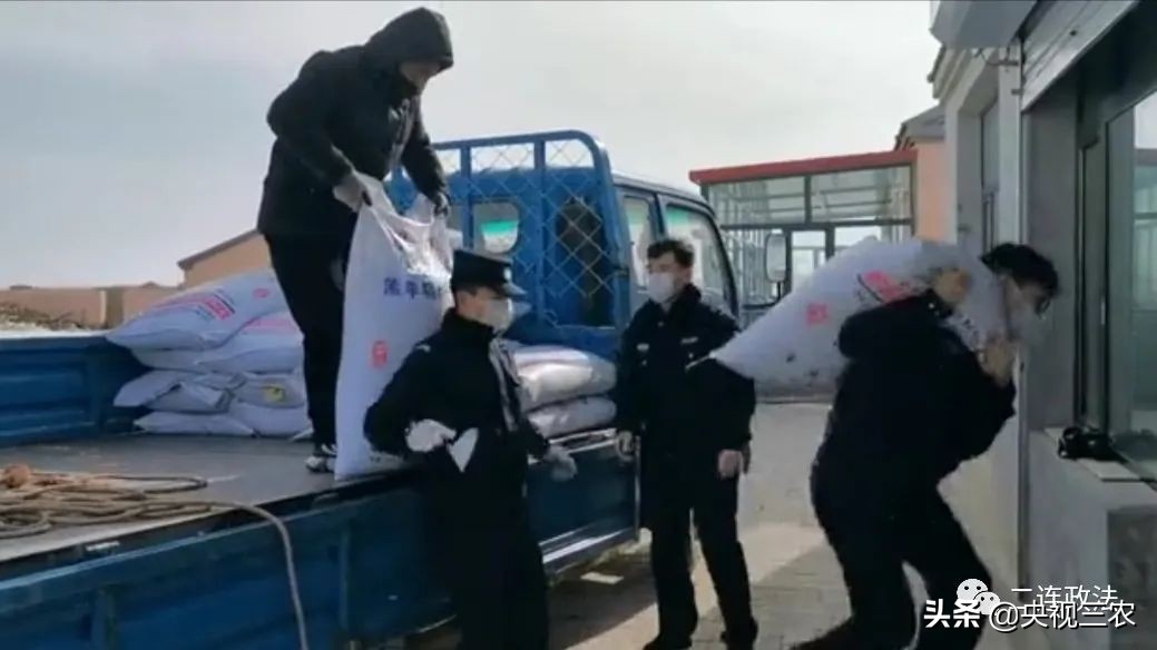 接春的时候应该说什么,接春羔的时候图片