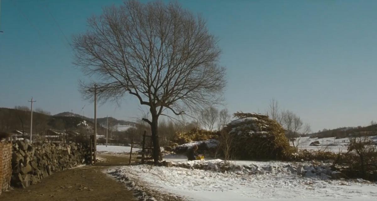 10年前被骂成烂片的《树先生》，为什么在10年后纷纷改口了？