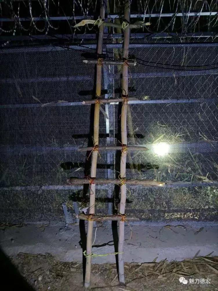 缅甸发生爆炸伤亡情况,缅甸西部爆炸伤亡情况