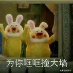 这些茶名字不同,但都是同一款茶,太多茶友弄混