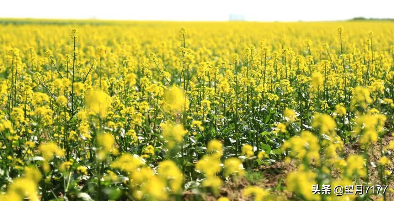 航天英雄的家乡绥中,葫芦岛杨利伟广场地址