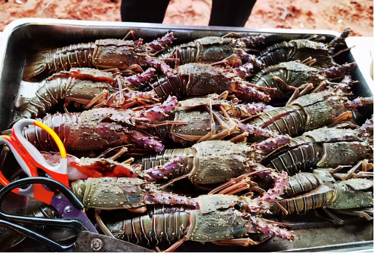 听听在非洲工作的朋友们，在非洲国家生活的真实体验