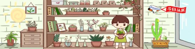 绿萝修剪是剪新枝条还是老枝条,绿萝的枝叶和根系可以修剪吗