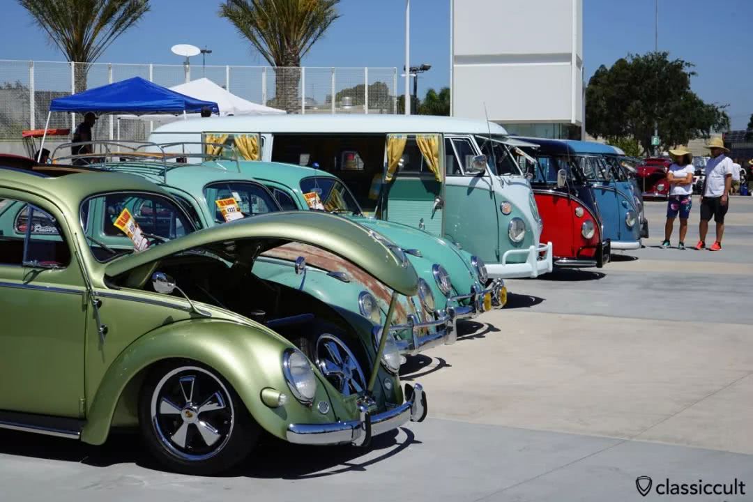 为什么大黄蜂有两个形态,大黄蜂为什么不可以说话了