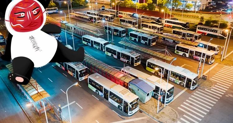 这只成都神兽包揽了多个全国第一，竟然还要被催婚？