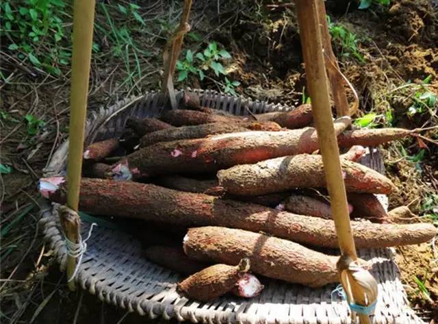 客家木薯粉块怎么吃,广式木薯糖怎么做好吃
