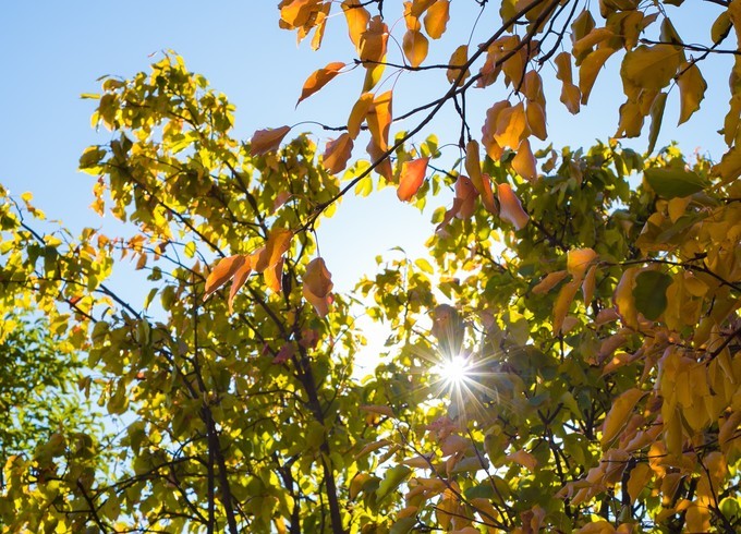 消失的地平线上的“香巴拉”和“女儿国”（二）