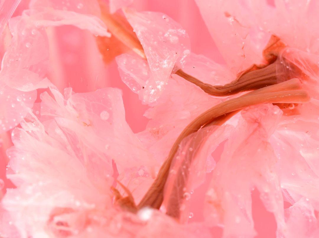 体育西美食日料,体育西日本料理