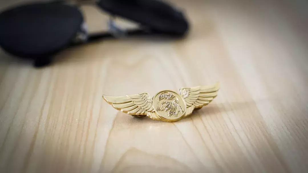 猎鹰飞行执照培训,猎鹰飞行员特训项目