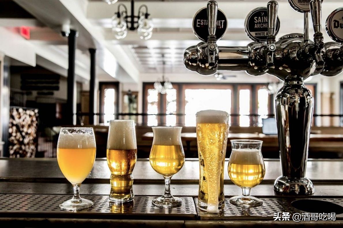 啤酒行业新手入门知识,啤酒入门基础知识