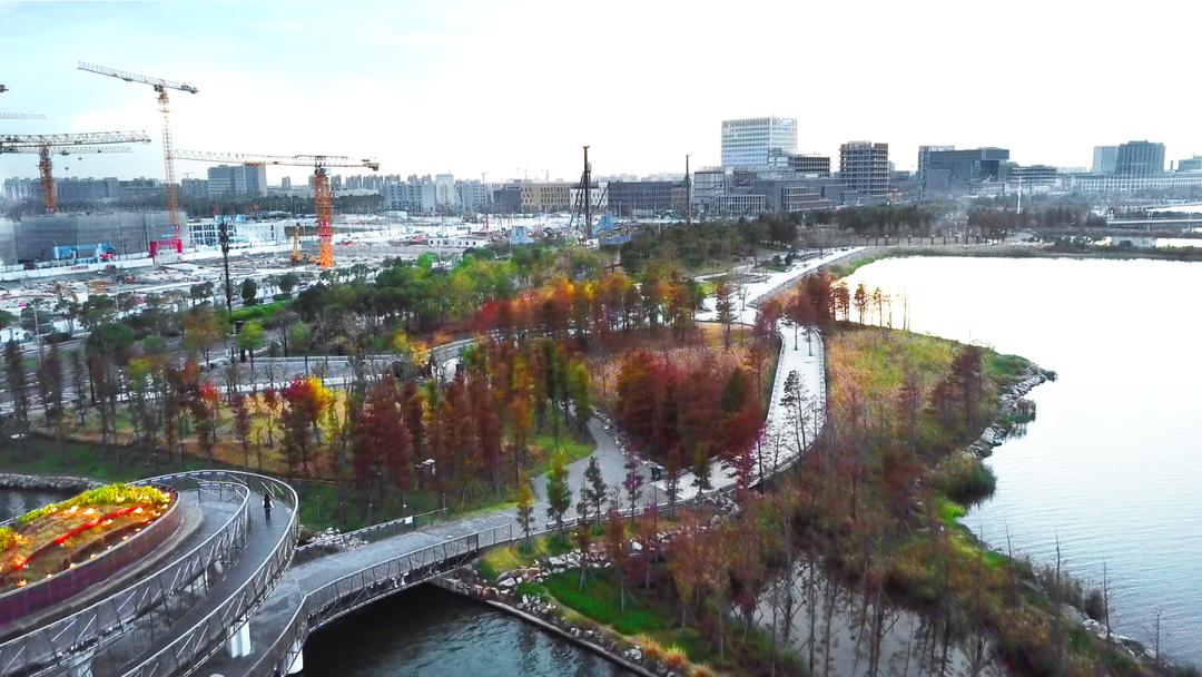 深秋回暖，安排！沪上各区的深秋美景，你准备好打卡了吗？