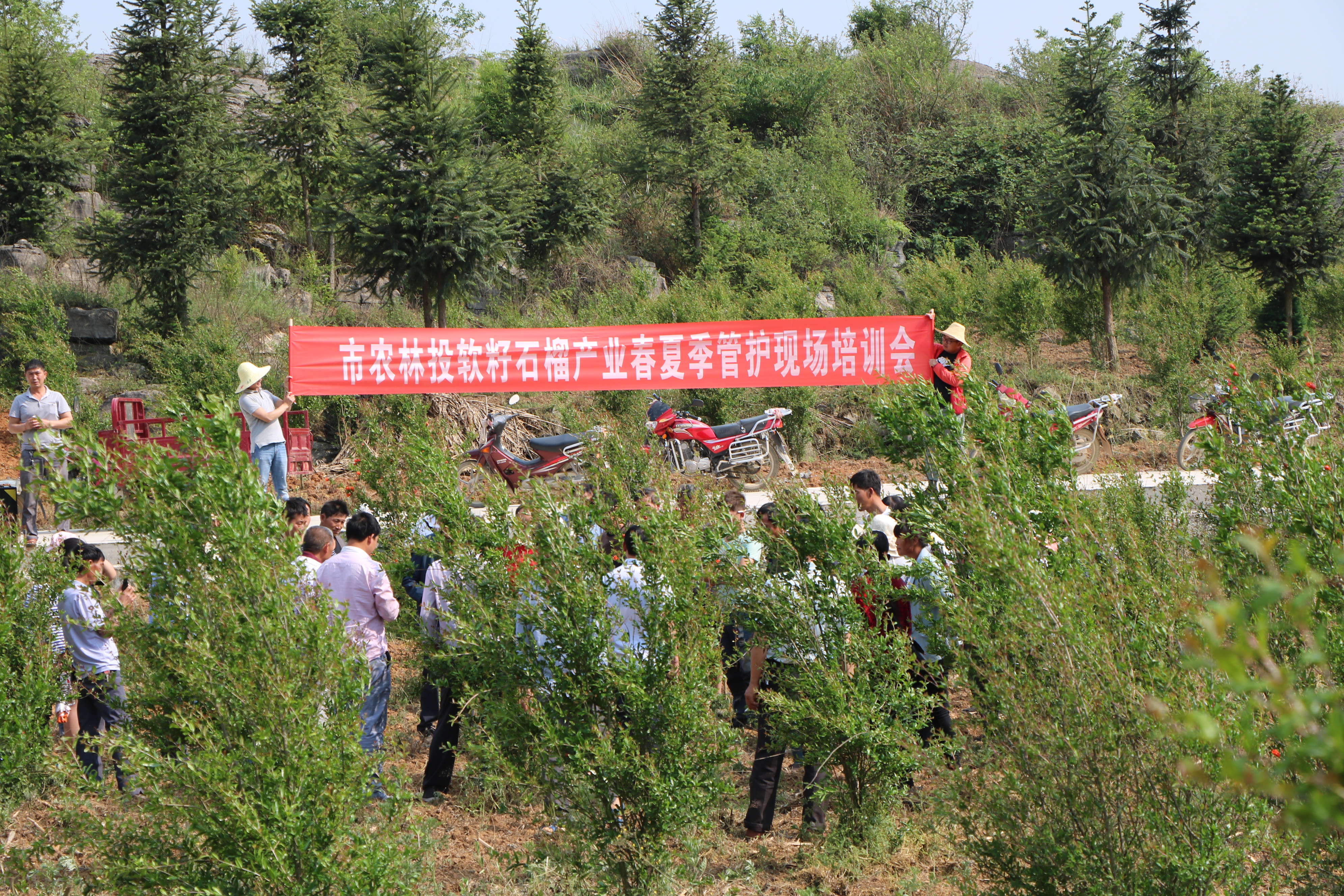 盘州企业数字化转型,盘州市产业