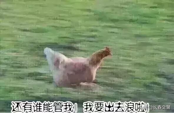 东北旅游降温了,冷冷冷抖音完整版