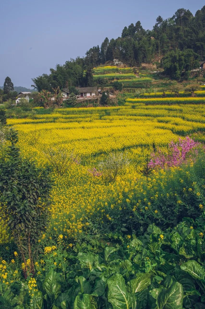 别在年轻的时候去四川！因为你的余生，都将沉醉在她的魅力里