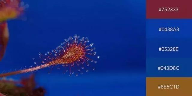 999张图片视频的卡点模板,服装设计素材收集与整理