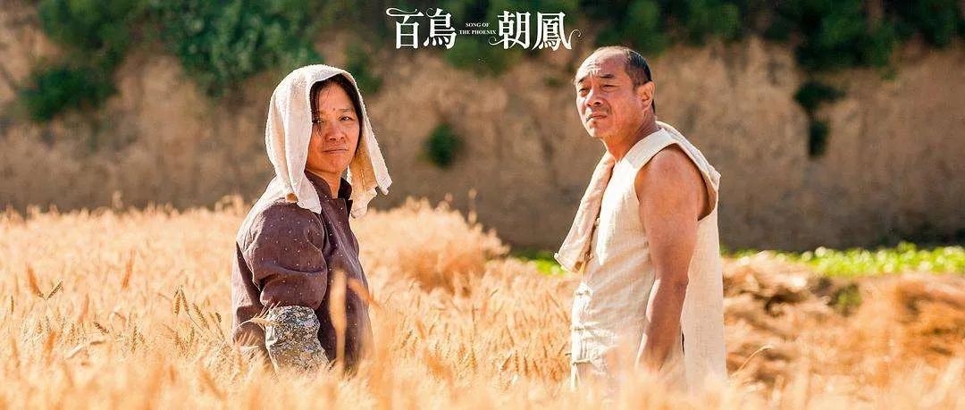 百鸟朝凤文化全文,豆瓣8.1百鸟朝凤