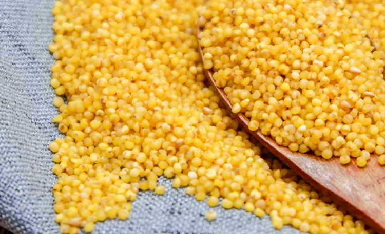 米脂小米最好的牌子是哪个,延安小米好还是米脂小米好