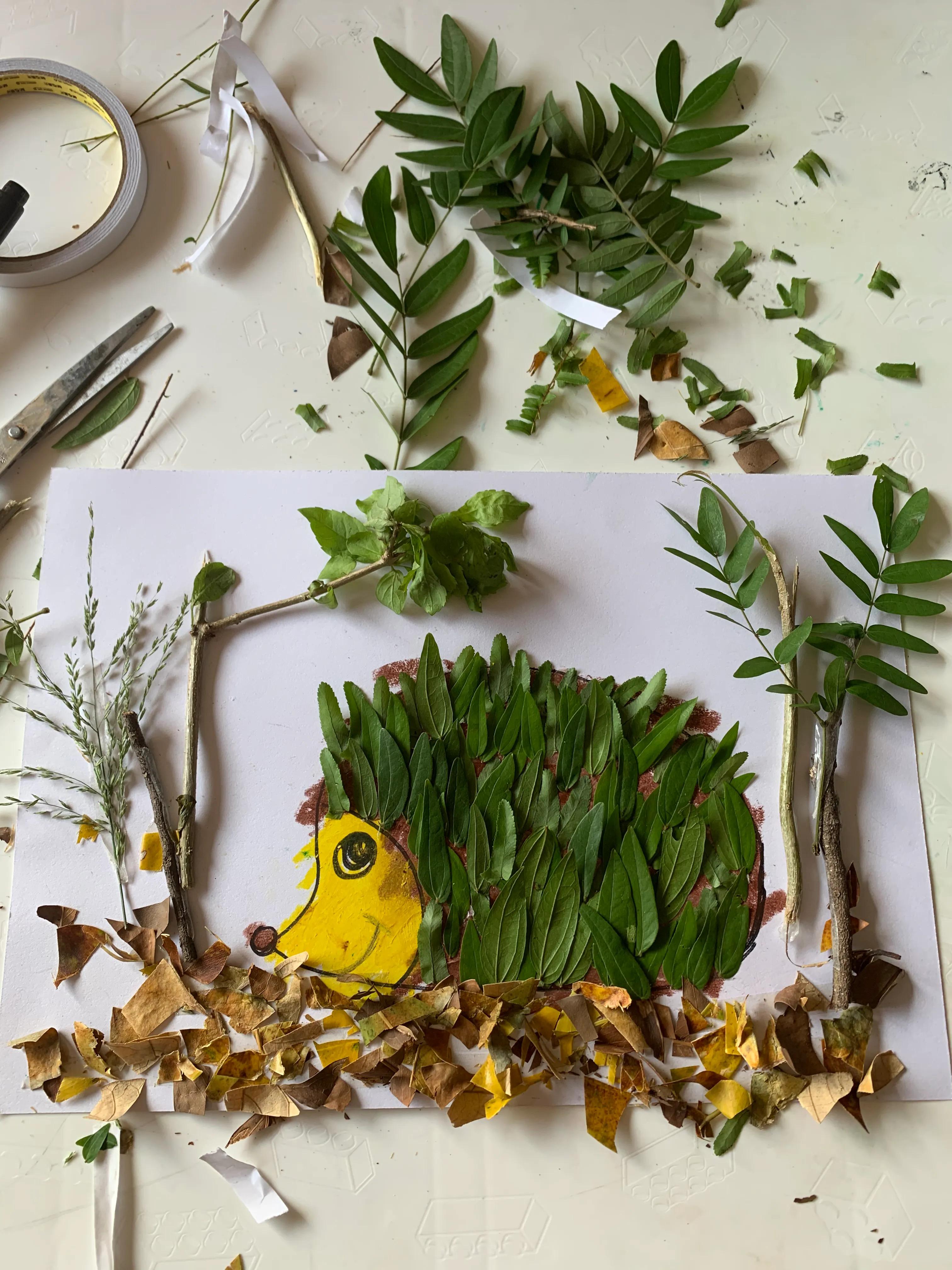 用树叶和花朵做一幅美丽的画,用银杏树叶做一幅简单漂亮的画