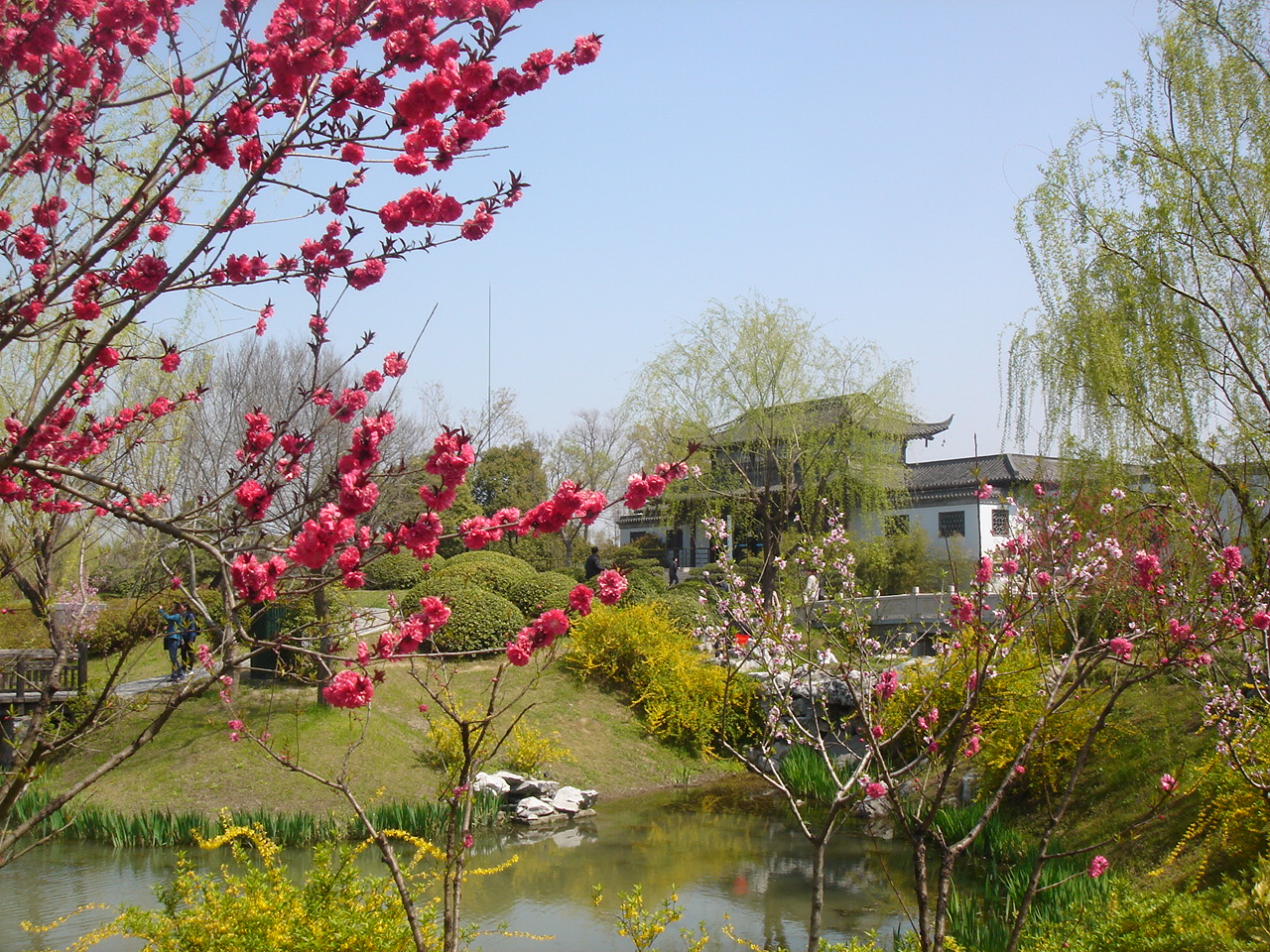 三月的瘦西湖到底有多美,瘦西湖景色到底有多美