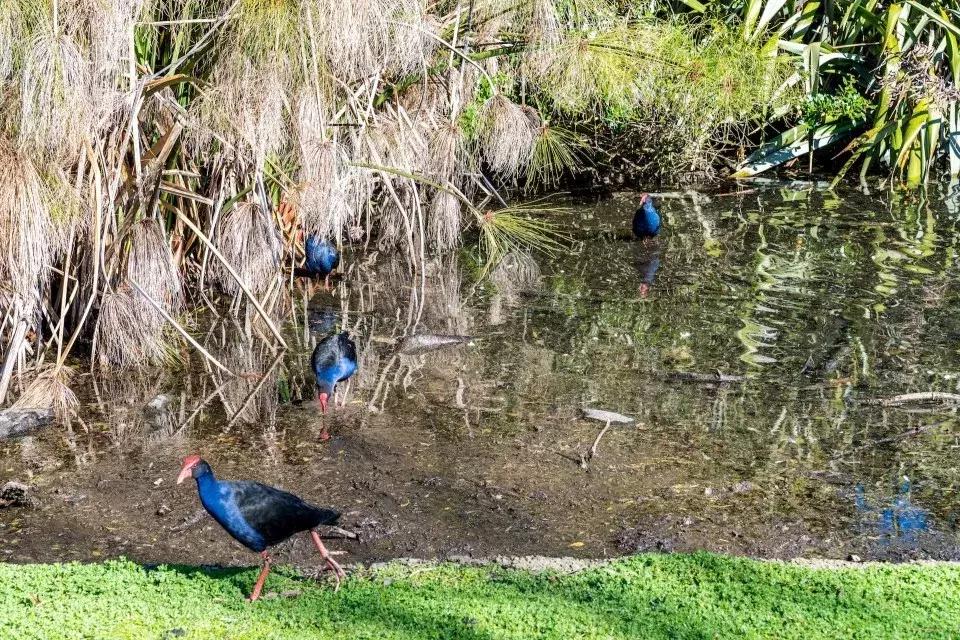 来这里认识世界全文,来这里认识世界完整版