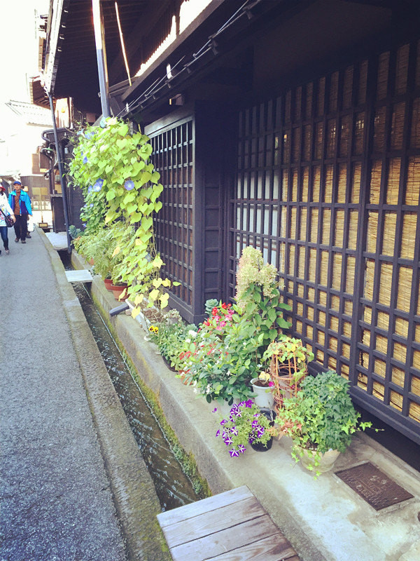 日本五天四夜旅游攻略视频,三天两夜的温泉之旅日本