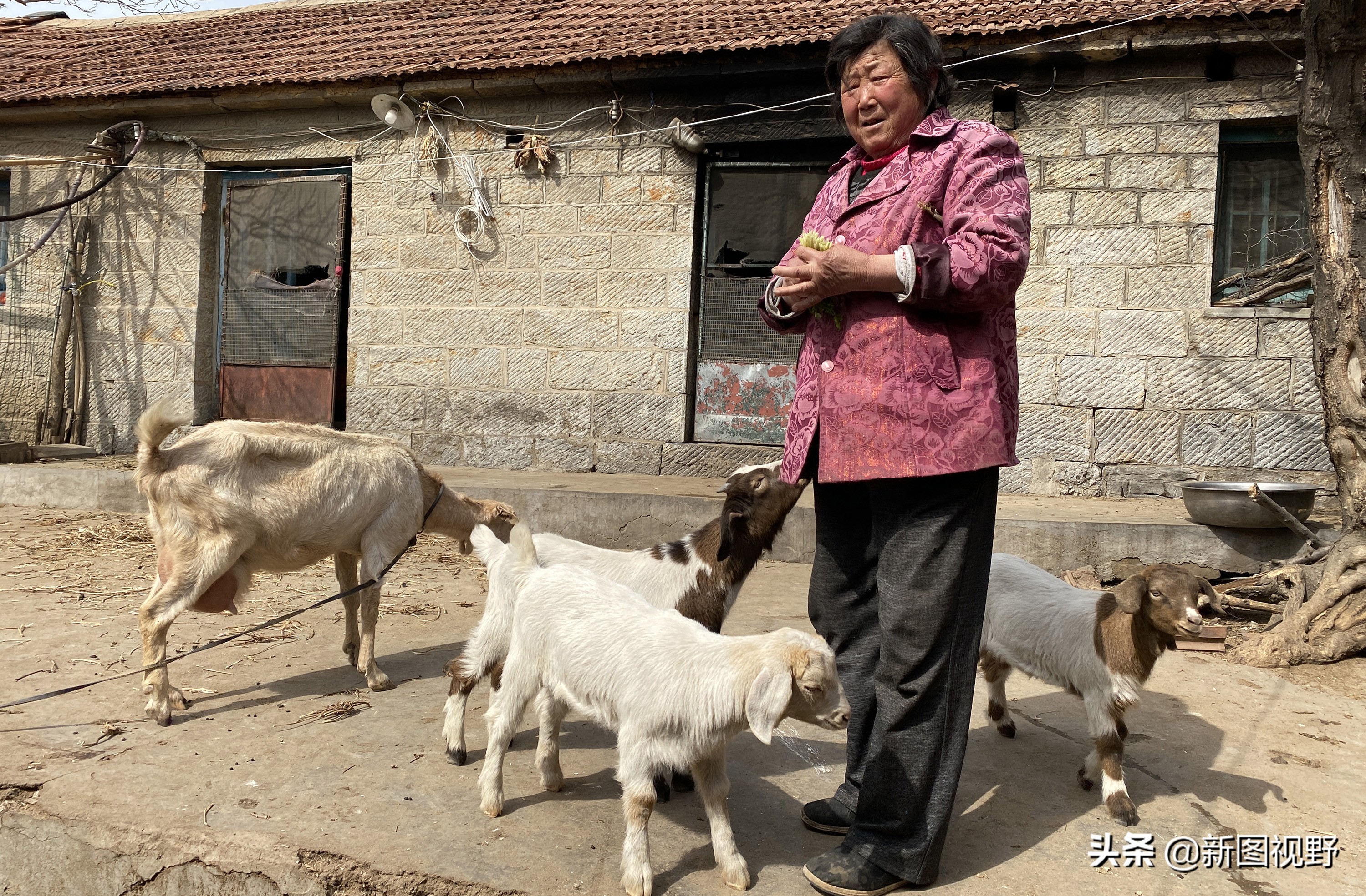 山村游玩，200元买大爷两箱“老酒”，帮我鉴定下是否中奖了