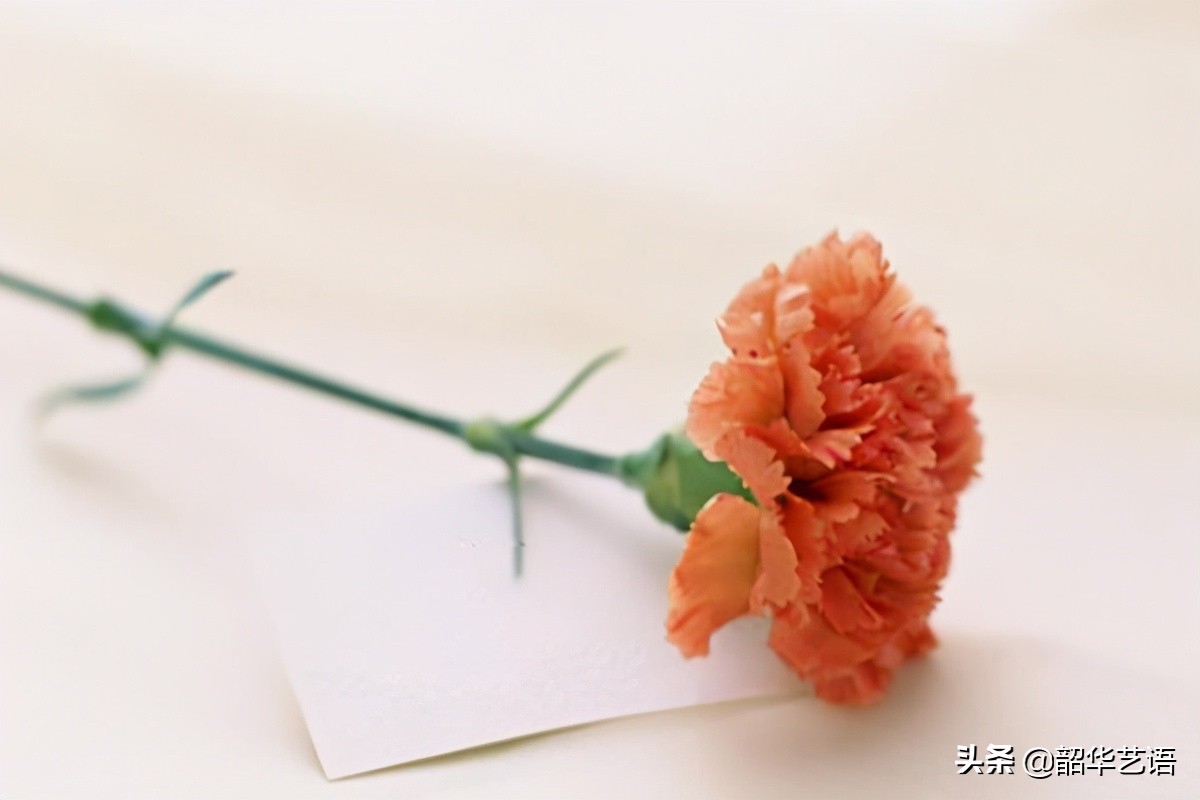 爱情是最不重要的东西,爱情对有的人来说是必需品