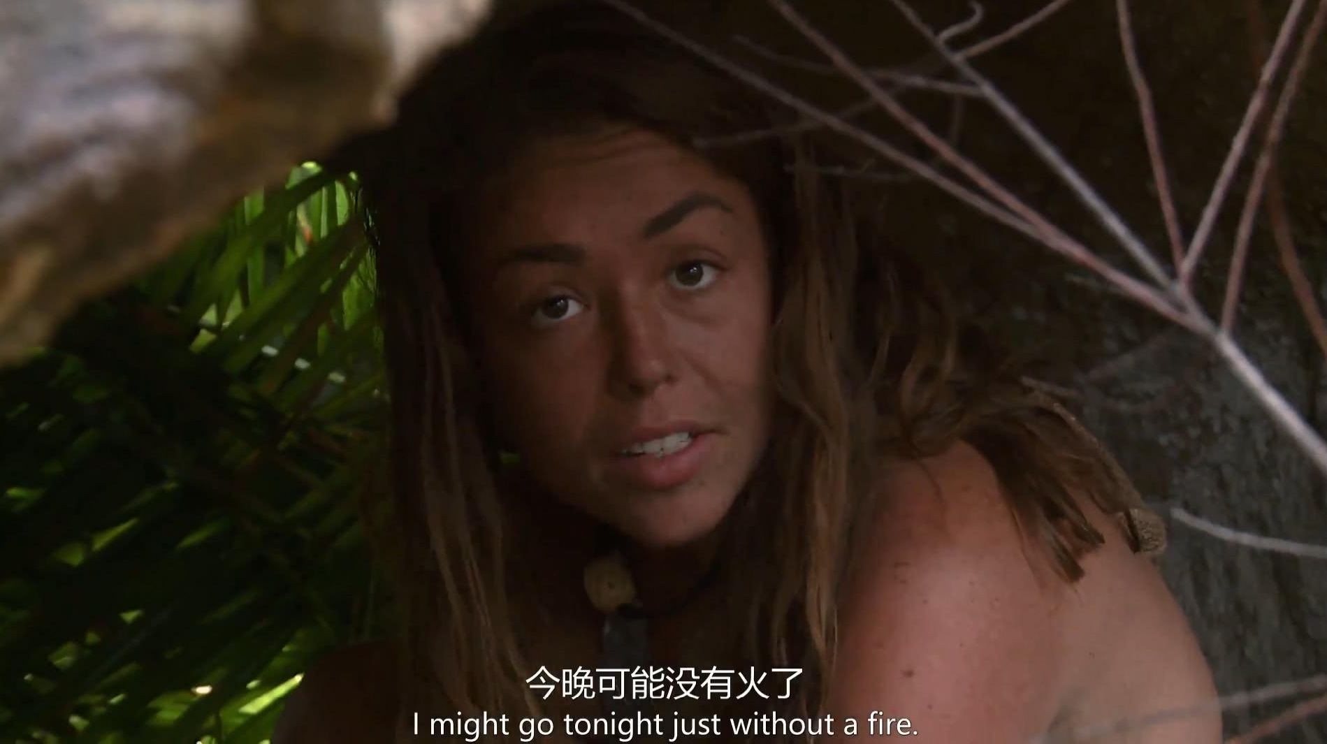 探秘亚马逊热带雨林十大恐怖动物,亚马逊的雨林为什么叫人类禁区