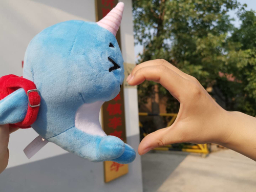 小海豚公益活动,小海豚计划公益助学