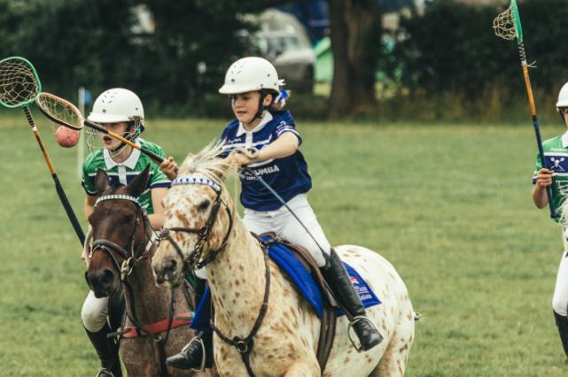 pony现状,pony小马俱乐部