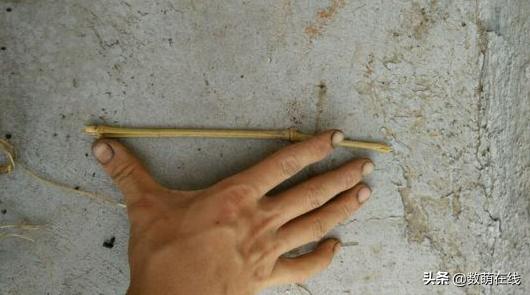 孩子不会查数怎么教容易学会,孩子学不会认表怎么办