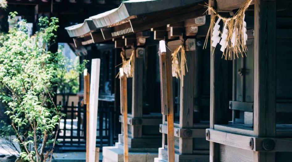 日本主要交通方式,在日本什么交通方式最便宜