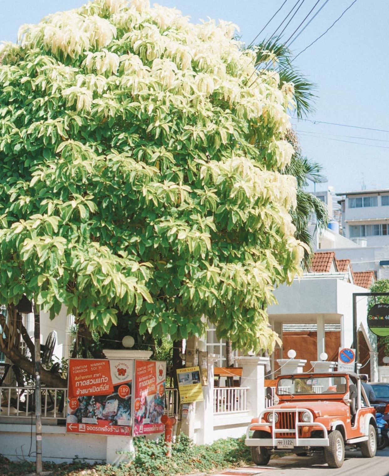 谁说泰国只有曼谷才是购物天堂,私藏清迈普吉岛购物攻略来啦