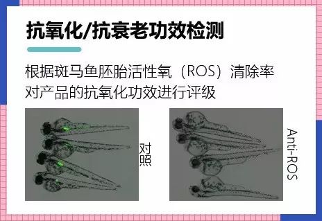 眼霜热门测评视频,眼霜20-25推荐测评
