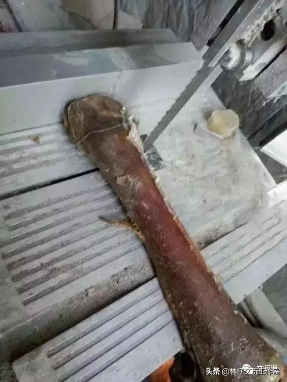 鹿骨手串制作过程,马骨手串做法