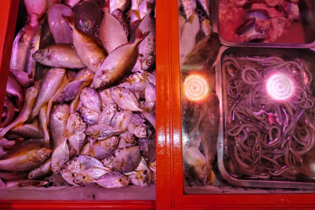 亲自去看海,第一次来到汕尾