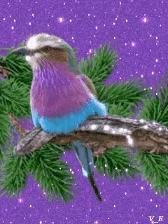 这是我见过最美丽的风景用英语,这是我见过最美的风景啥意思