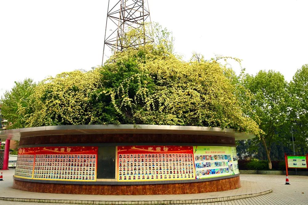 2023年四七九能全省招生吗,四七九中学外地招生条件