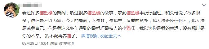 猫跳楼摔不死,猫咪跳楼真的摔不死吗