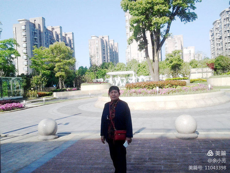 上海新国际博览中心延期,上海新国际博览中心在哪