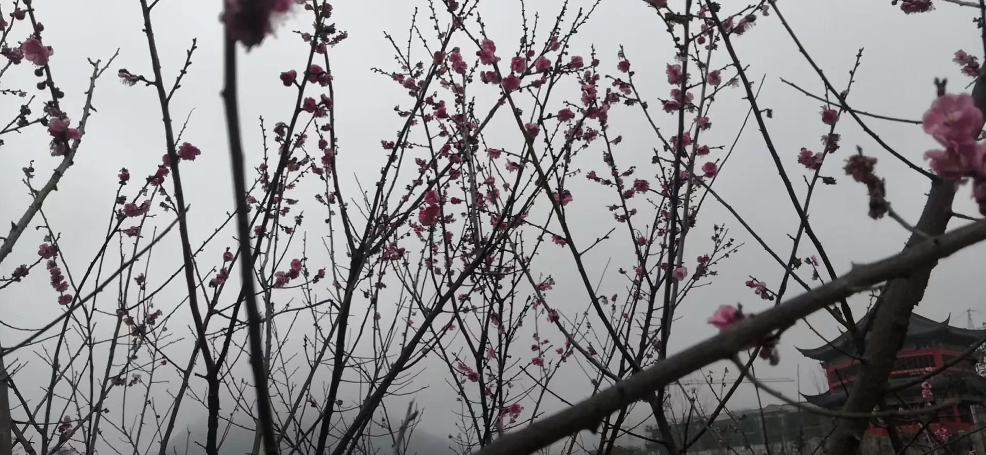 野渡,情感生活故事