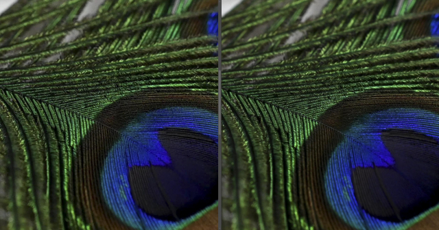 尼康z卡口501.8价格,尼康z50f1.8评测