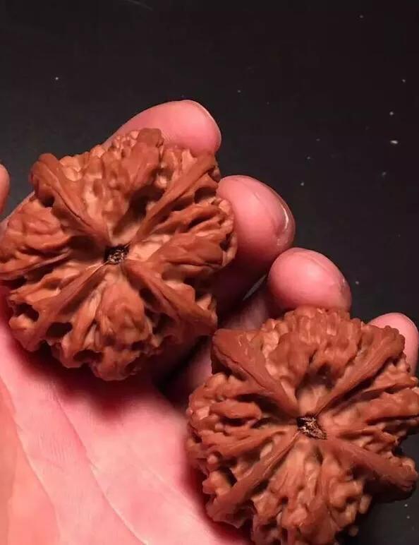 文玩核桃阴皮和反油,文玩核桃阴皮和反油怎么办