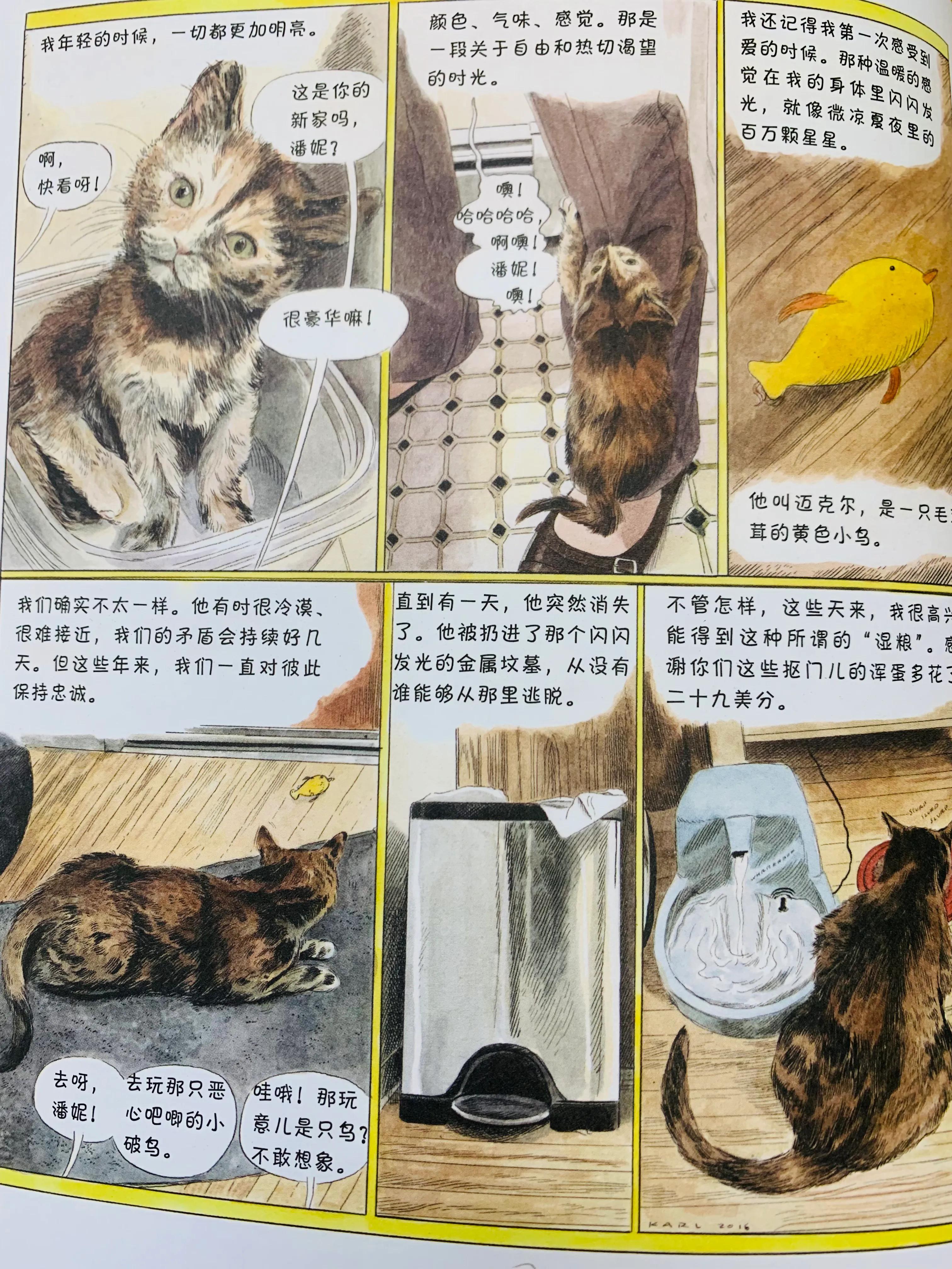 猫咪搞笑日常漫画,一个关于猫的搞笑漫画