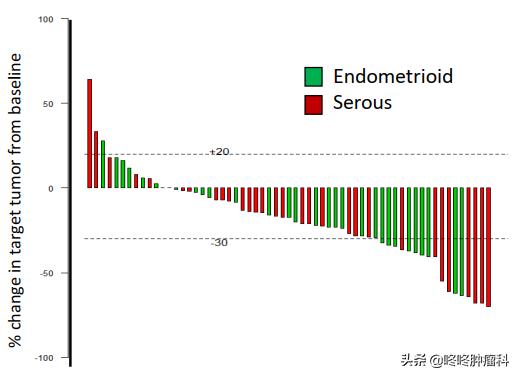 卡博替尼最高效率,最新卡博替尼消息