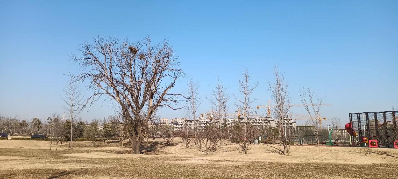 冬天的微锻炼，无意间找到一处篮球和足球场，非周末无人！来