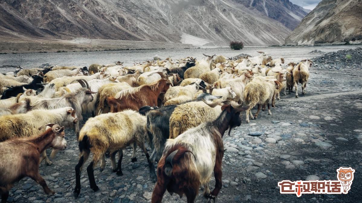 恐慌情绪最好的解决方法,怎样排解害怕生病的恐慌情绪