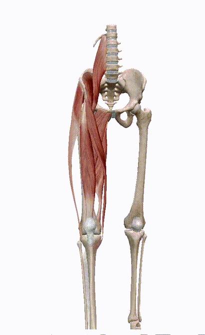 靠墙静蹲对膝盖好还是不好,膝盖蹲下疼痛做什么锻炼有帮助