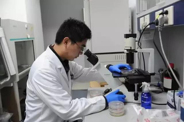 我国创新药物未来发展之路,中国创新药物的创新点