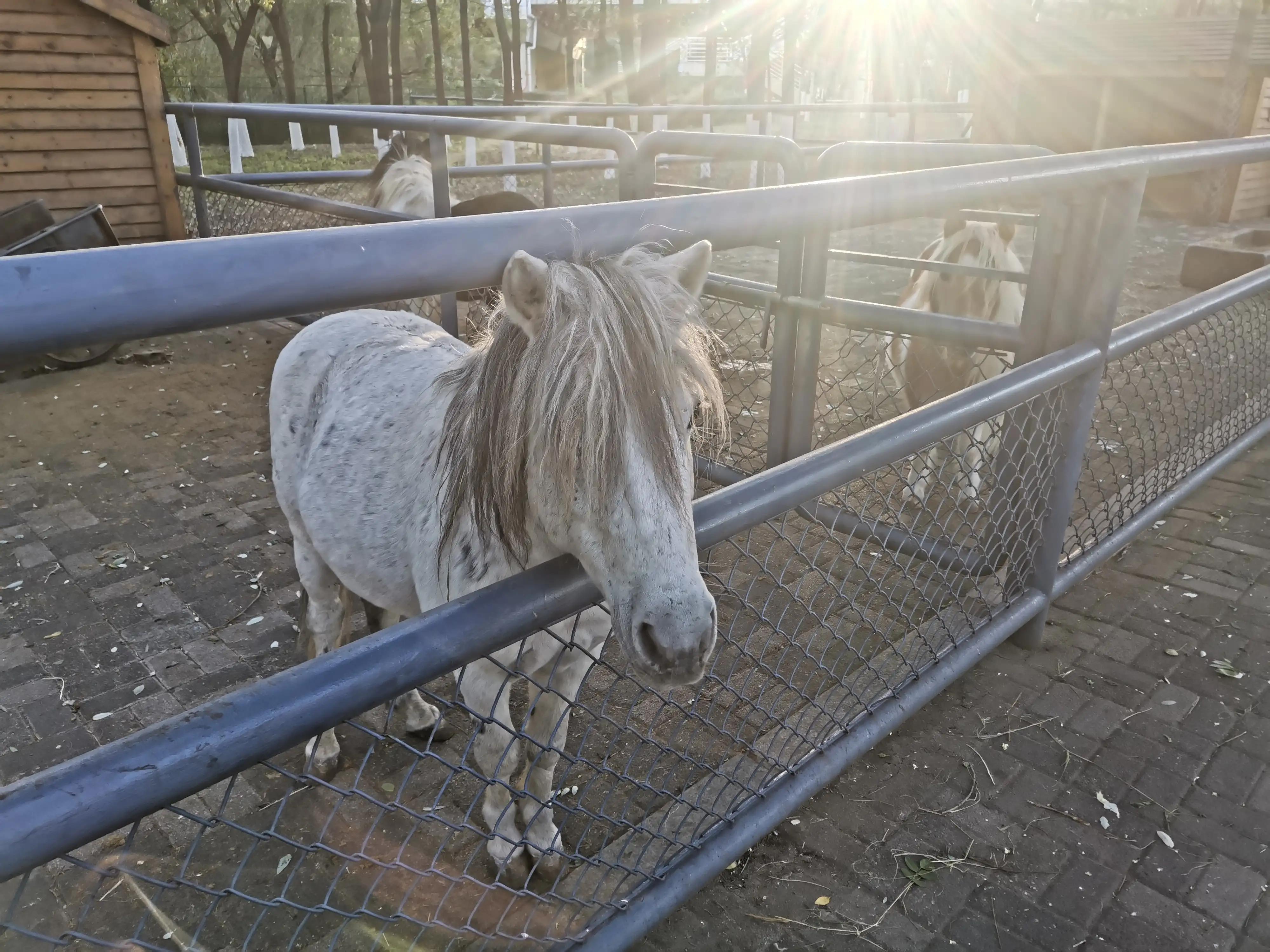 沈阳长白岛森林公园旅游攻略,沈阳长白岛森林公园冬天瀑布